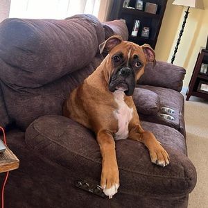 Meet your Posher, Isabella